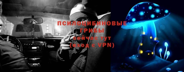 дмт Богородск