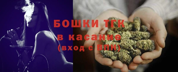 дмт Богородск