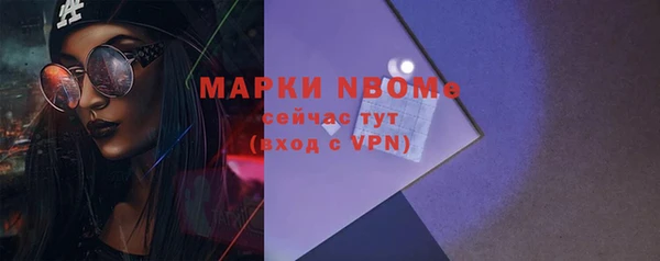 дмт Богородск