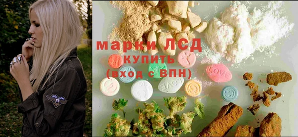 хмурый Богданович