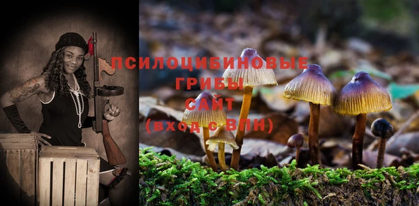 эйфоретик Бородино