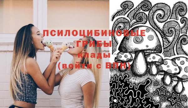 эйфоретик Бородино