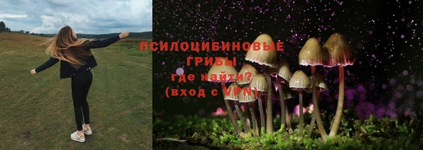 тгк Богородицк