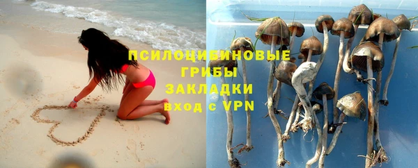 тгк Богородицк